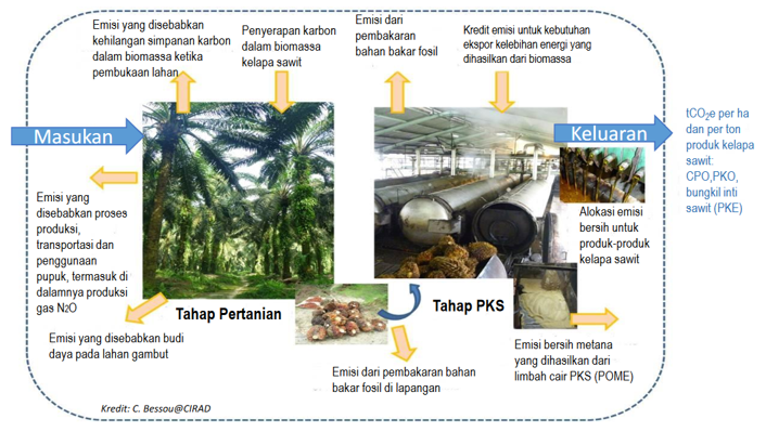 Palm Oil GHG dan Arah Penelitian Kelapa Sawit Bidang Lingkungan