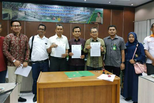 Oil Palm Smallholders in Aceh Prepares to Replant
