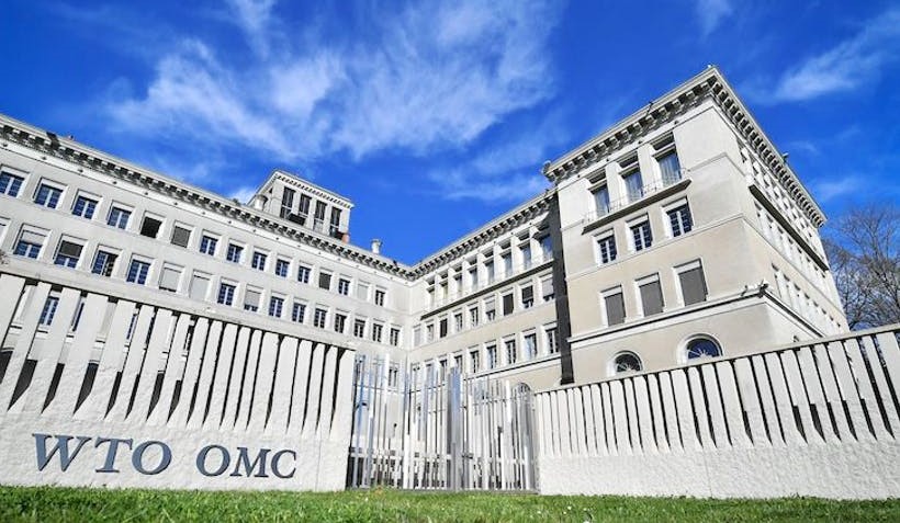 Persiapan Litigasi ke WTO terkait Diskriminasi Sawit Perlu Segera Dilakukan