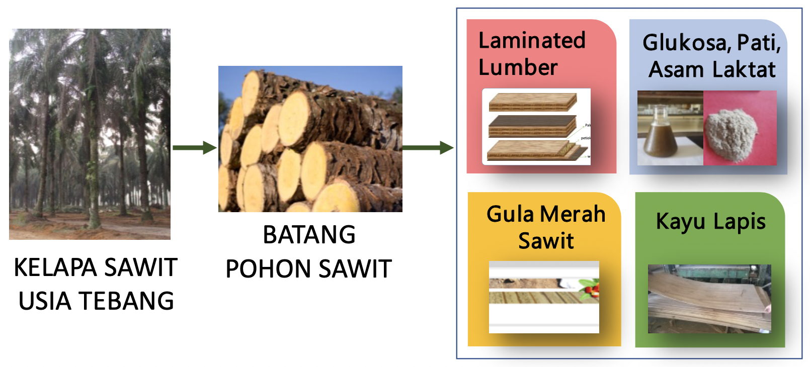 Produk kelapa sawit