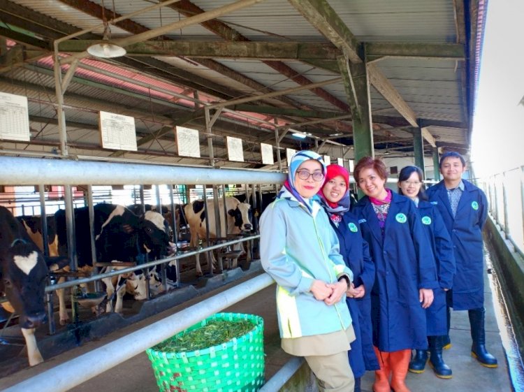 ITB Develops PFAD as Feed Resources for Ruminants to Increase Milk Production