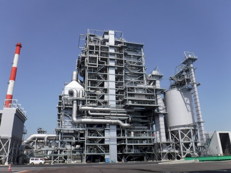 Japan to Build 90 Biomass-based Power Plants Powered with Palm Kernel Sheel