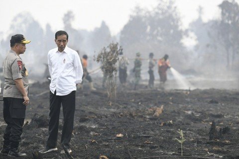 Govt Predicts Fewer Forest and Lands Fires This Year