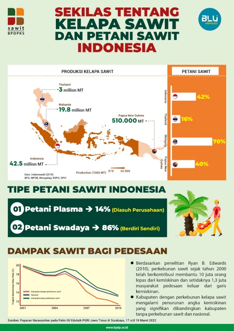 Infografis: Sekilas Tentang Petani Kelapa Sawit Indonesia