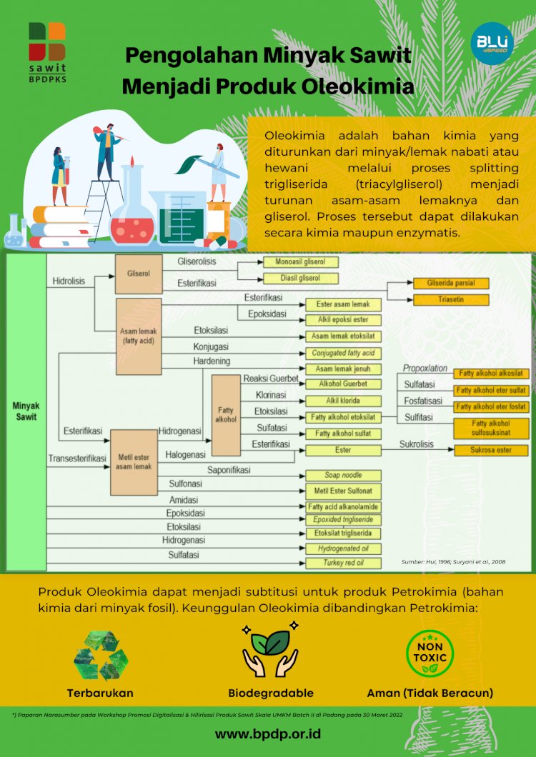 Infografis: Pengolahan Minyak Sawit Menjadi Produk Oleokimia
