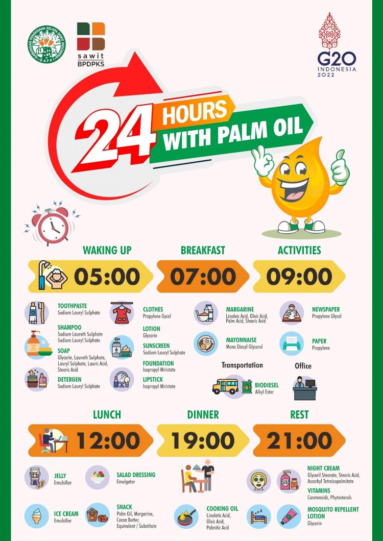 24 Hours With Palm Oil