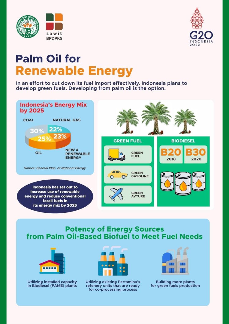 Palm Oil For Renewable Energy