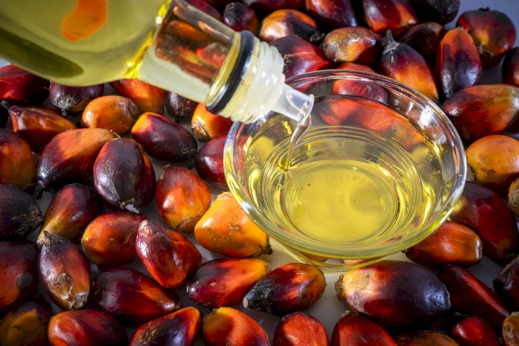 Indonesian Palm Oil on India Market: Sustainable and Reliable