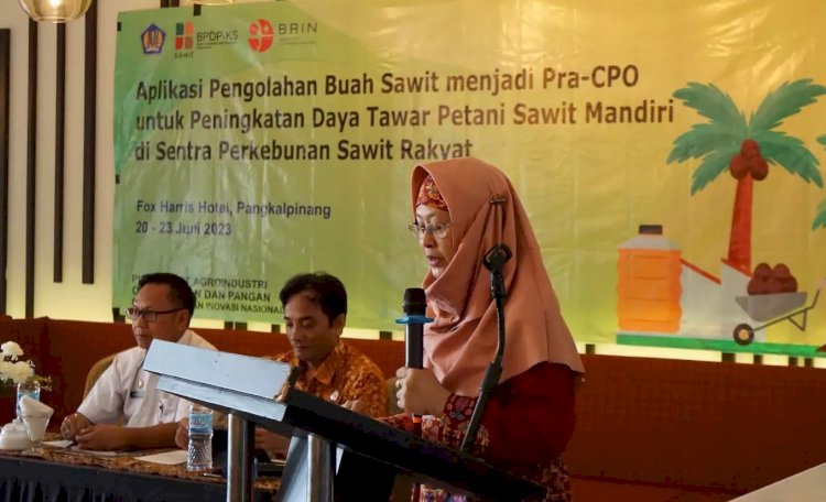 BRIN dan BPDPKS Latih Petani Sawit Rakyat Aplikasi Pengolahan Buah Sawit