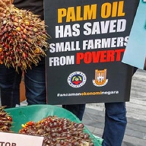 Indonesia Tolak Diskriminasi Uni Eropa Soal Biofuel Sawit