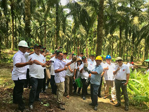 Indonesian Diplomats Receive Brief on Oil Palm