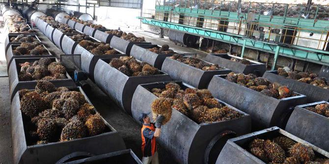 Negative Campaign Keep Pushing Palm Oil in First Quarter 2018