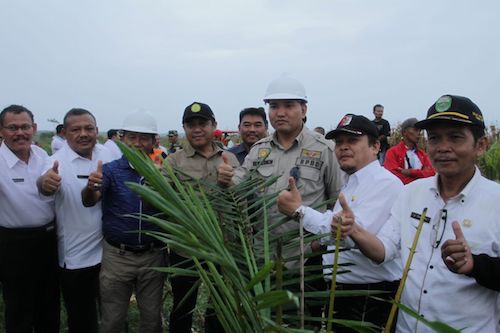 Replanting Sawit di Musi Banyuasin Terus Berlanjut