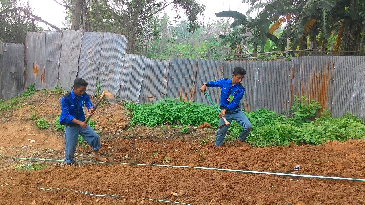 Oil Palm Trees Also Grow in Pesantren