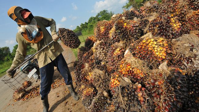 Pers dan Warganet Jatim Perdalam Pemahaman Perkebunan Kelapa Sawit