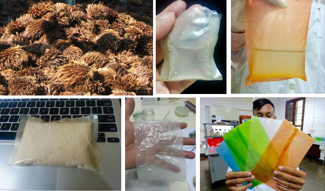 Peneliti dan BPDPKS Kembangkan Bioplastik dari Tandan Kosong Sawit