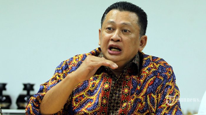 Ketua DPR Dukung Tata Ulang Perkebunan Sawit