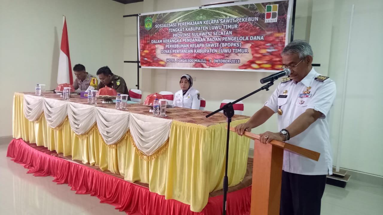 Luwu Timur Begins To Replant Oil Palm Plantations