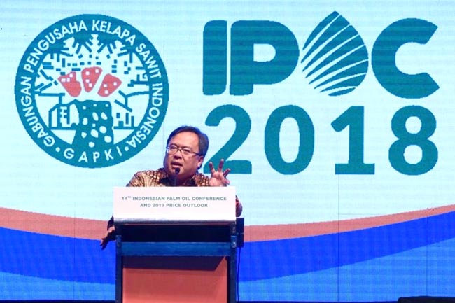 Industri  Kelapa Sawit Indonesia Serap 16,2 Juta Pekerja