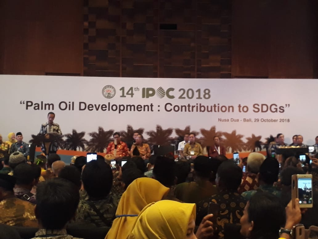 No Palm Oil, No SDGs
