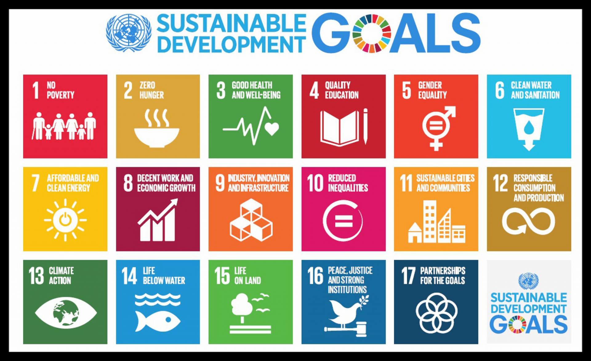 Pemerintah Adopsi Nilai SDGs dalam Kriteria ISPO