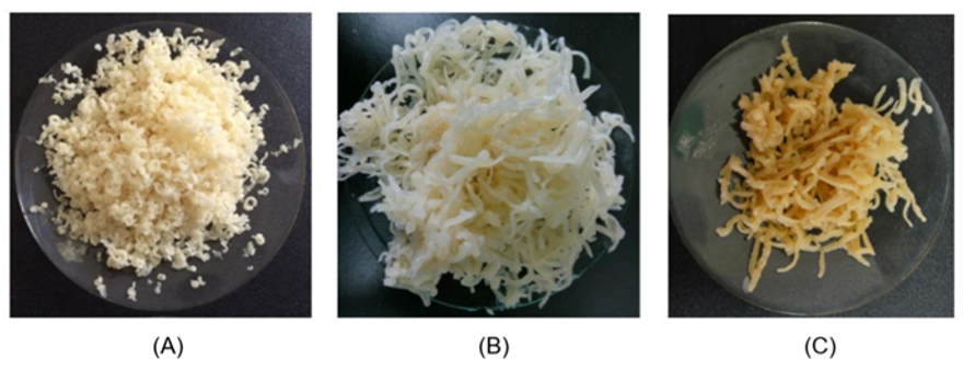 SEAFAST CENTER - LPPM IPB HASILKAN EMULSIFIER MONO-DIASILGLISEROL (MDAG)  BERBASIS SAWIT UNTUK PRODUK PANGAN