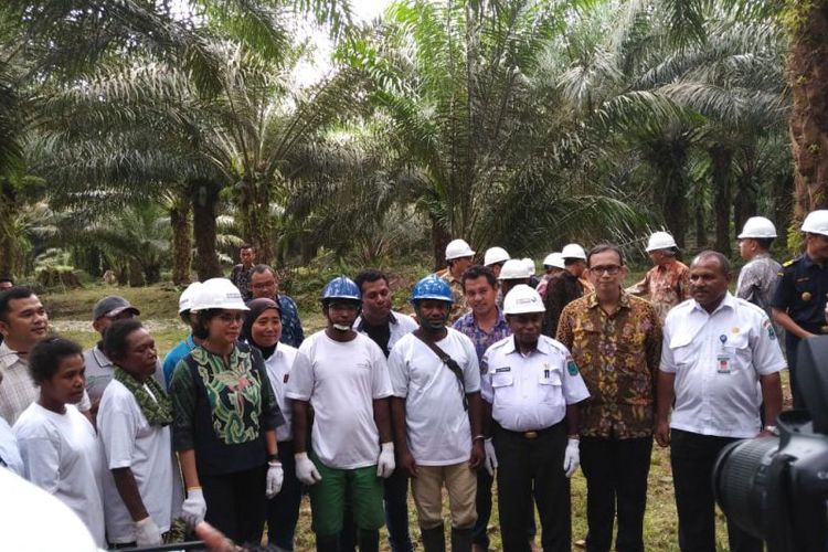 Finance Minister Invites Palm Oil Industry to Improve Livelihood