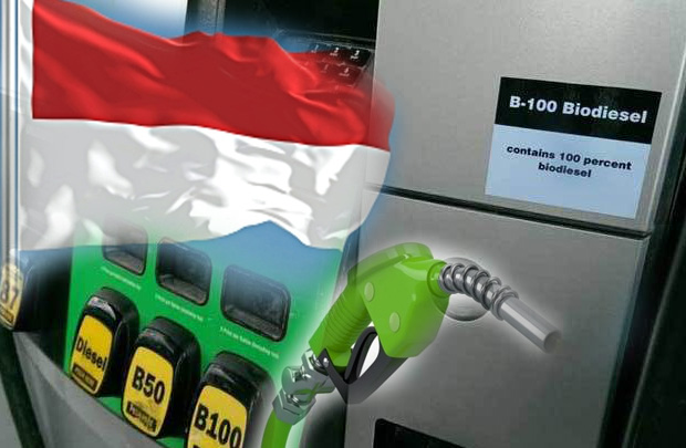 Indonesia into the Era of Green Fuels Industry