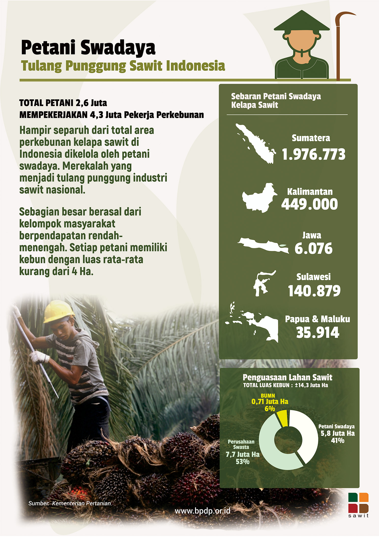 Petani Swadaya Sawit