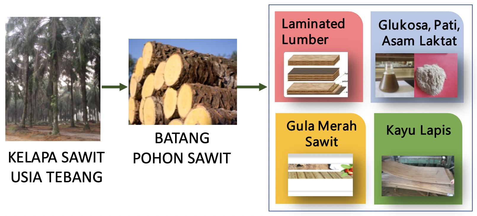 INOVASI PRODUK DARI BATANG SAWIT HASIL PEREMAJAAN