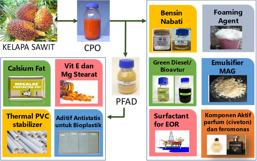 Inovasi Produk dari Crude Palm Oil (Cpo) Dan Palm Fatty Acid Destilate (Pfad)