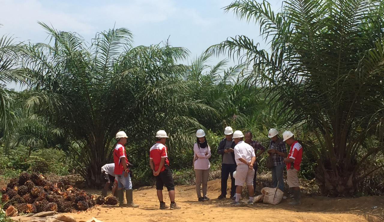 Participants of Journalist Fellowship Program Visit Oil Palm Plantation in West Kalimantan