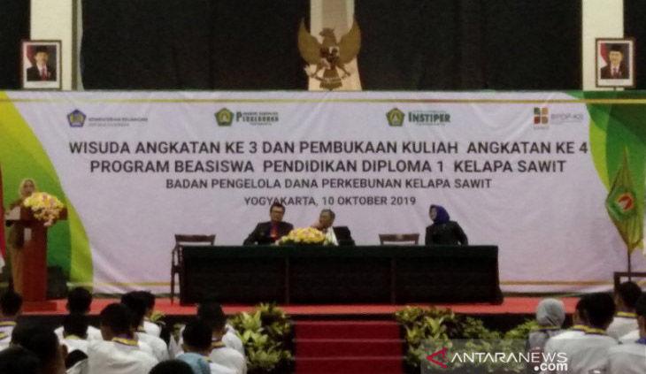 Pengelolaan Sawit Perlu Dibarengi Kemampuan Akademis